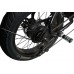 E-Bike Thunderbolt R79 Urban